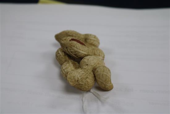 A Japanese Meiji period carved ivory group of peanuts, 5.5cm